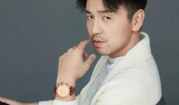 王玮爆料雷佳音视频,真相背后引热议